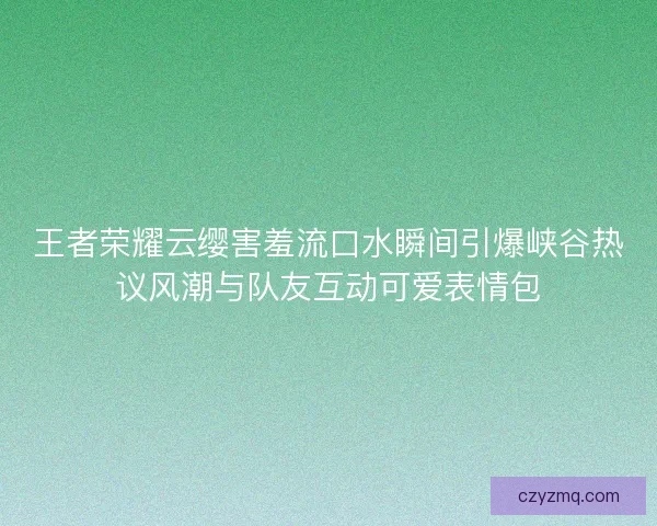 王者荣耀云缨害羞流口水瞬间引爆峡谷热议风潮与队友互动可爱表情包