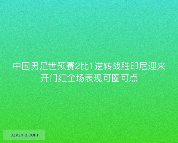 中国男足世预赛2比1逆转战胜印尼迎来开门红全场表现可圈可点