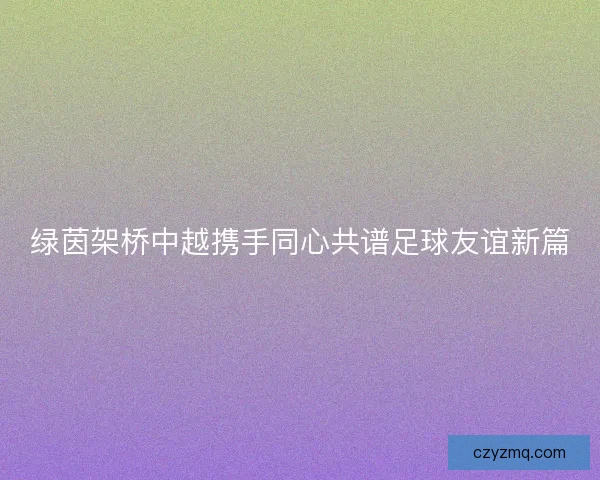 绿茵架桥中越携手同心共谱足球友谊新篇