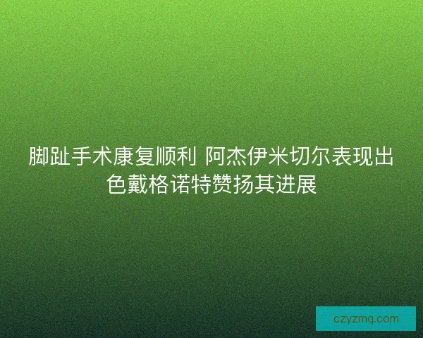 脚趾手术康复顺利 阿杰伊米切尔表现出色戴格诺特赞扬其进展