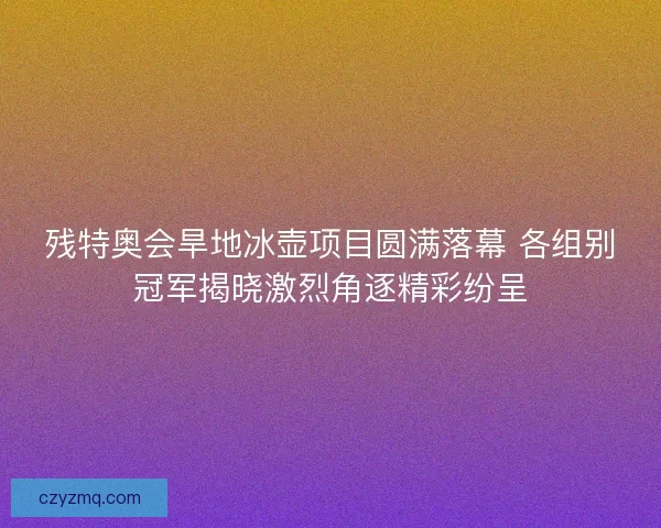 残特奥会旱地冰壶项目圆满落幕 各组别冠军揭晓激烈角逐精彩纷呈