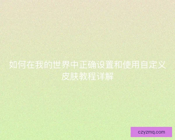 如何在我的世界中正确设置和使用自定义皮肤教程详解
